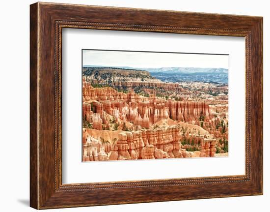 Bryce Amphitheater - Utah - Bryce Canyon National Park - United States-Philippe Hugonnard-Framed Photographic Print