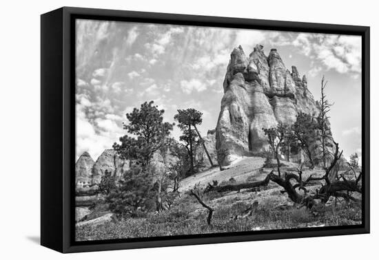 Bryce Amphitheater - Utah - Bryce Canyon National Park - United States-Philippe Hugonnard-Framed Premier Image Canvas