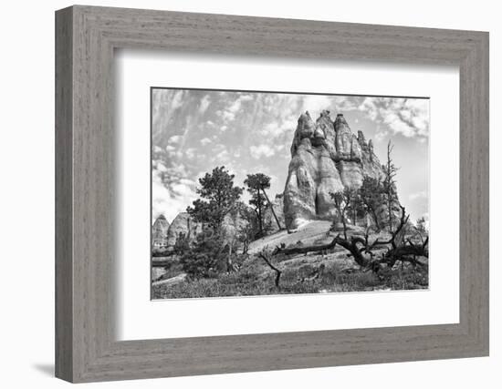 Bryce Amphitheater - Utah - Bryce Canyon National Park - United States-Philippe Hugonnard-Framed Photographic Print