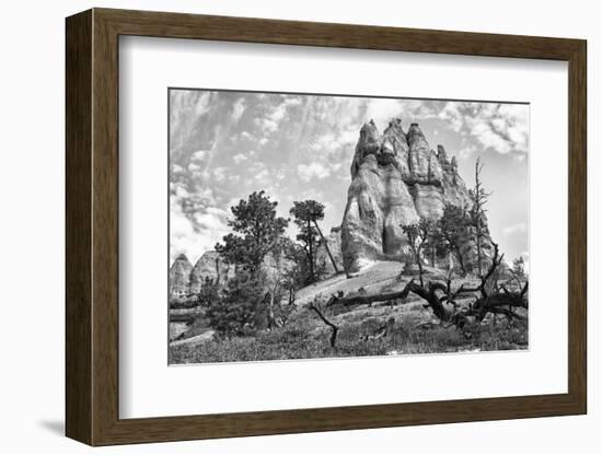 Bryce Amphitheater - Utah - Bryce Canyon National Park - United States-Philippe Hugonnard-Framed Photographic Print