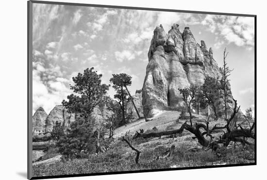 Bryce Amphitheater - Utah - Bryce Canyon National Park - United States-Philippe Hugonnard-Mounted Photographic Print