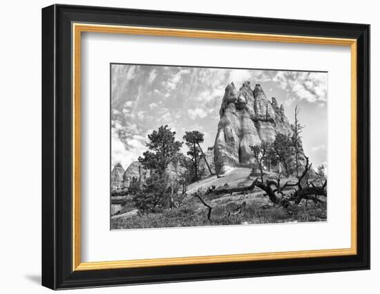 Bryce Amphitheater - Utah - Bryce Canyon National Park - United States-Philippe Hugonnard-Framed Photographic Print