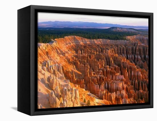 Bryce Amphitheater-Bill Ross-Framed Premier Image Canvas