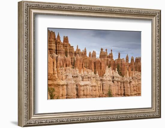 Bryce Canyon at Dawn-Gary Cook-Framed Photographic Print