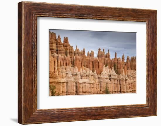 Bryce Canyon at Dawn-Gary Cook-Framed Photographic Print