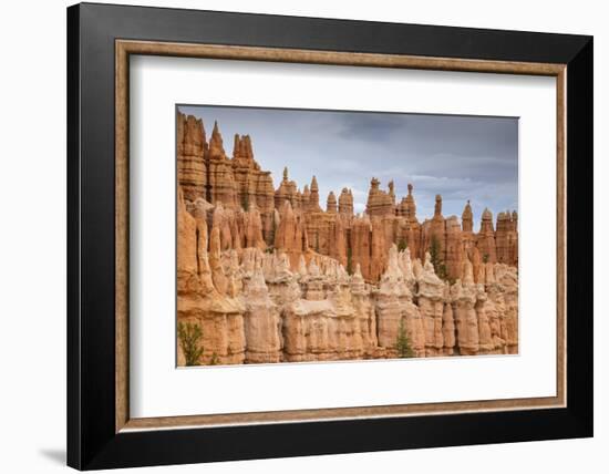 Bryce Canyon at Dawn-Gary Cook-Framed Photographic Print