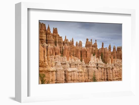 Bryce Canyon at Dawn-Gary Cook-Framed Photographic Print