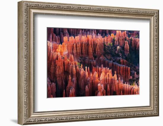 Bryce Canyon at Sunset-Li Austin-Framed Photographic Print