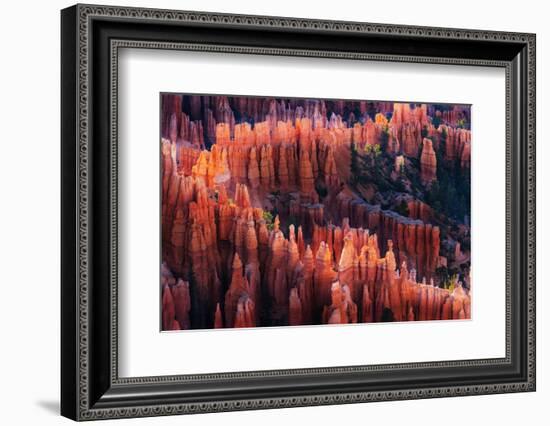 Bryce Canyon at Sunset-Li Austin-Framed Photographic Print