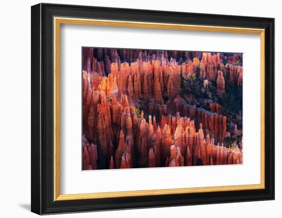 Bryce Canyon at Sunset-Li Austin-Framed Photographic Print