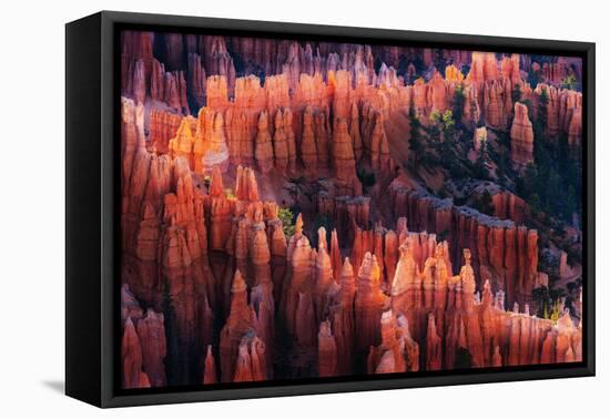 Bryce Canyon at Sunset-Li Austin-Framed Premier Image Canvas