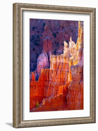 Bryce Canyon Dawn-Douglas Taylor-Framed Photographic Print