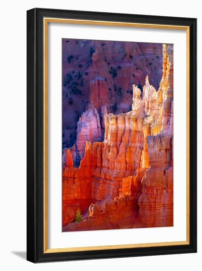 Bryce Canyon Dawn-Douglas Taylor-Framed Photographic Print