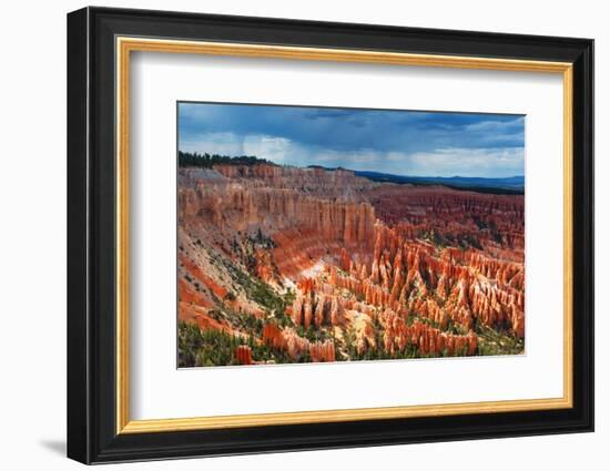 Bryce Canyon from Inspiration Point, Utah-Geraint Tellem-Framed Photographic Print