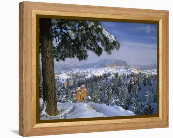 Bryce Canyon in Winter, Utah, USA-Nancy Rotenberg-Framed Premier Image Canvas