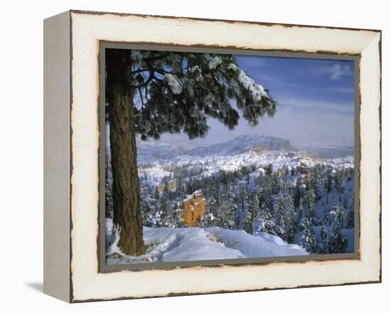 Bryce Canyon in Winter, Utah, USA-Nancy Rotenberg-Framed Premier Image Canvas