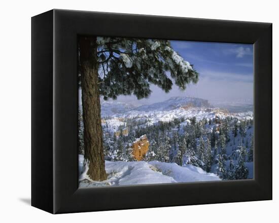 Bryce Canyon in Winter, Utah, USA-Nancy Rotenberg-Framed Premier Image Canvas