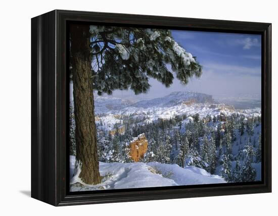 Bryce Canyon in Winter, Utah, USA-Nancy Rotenberg-Framed Premier Image Canvas