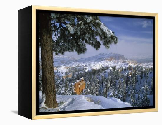 Bryce Canyon in Winter, Utah, USA-Nancy Rotenberg-Framed Premier Image Canvas