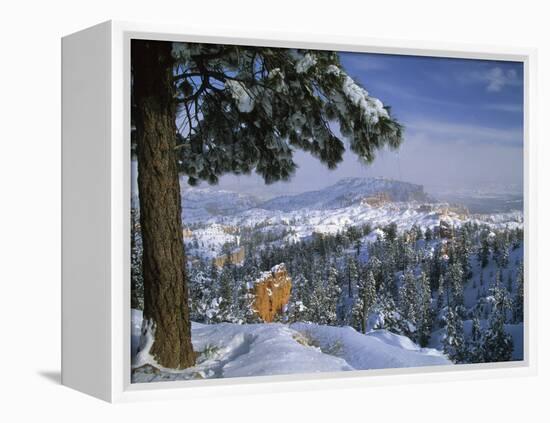 Bryce Canyon in Winter, Utah, USA-Nancy Rotenberg-Framed Premier Image Canvas