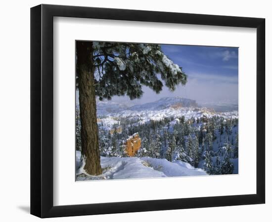 Bryce Canyon in Winter, Utah, USA-Nancy Rotenberg-Framed Photographic Print