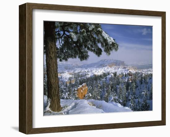 Bryce Canyon in Winter, Utah, USA-Nancy Rotenberg-Framed Photographic Print