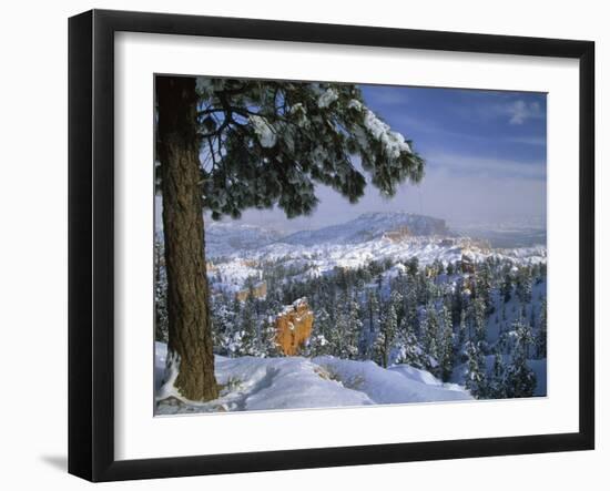 Bryce Canyon in Winter, Utah, USA-Nancy Rotenberg-Framed Photographic Print