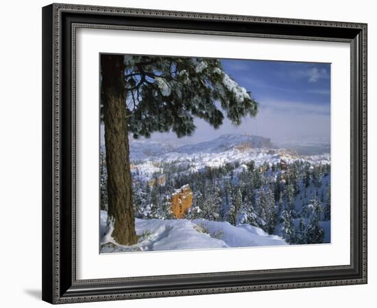 Bryce Canyon in Winter, Utah, USA-Nancy Rotenberg-Framed Photographic Print