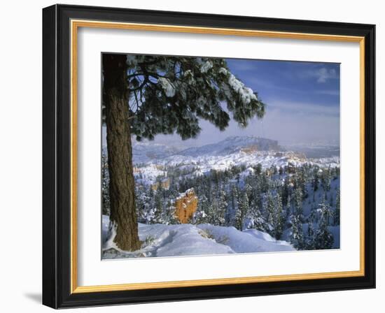 Bryce Canyon in Winter, Utah, USA-Nancy Rotenberg-Framed Photographic Print