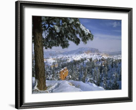 Bryce Canyon in Winter, Utah, USA-Nancy Rotenberg-Framed Photographic Print