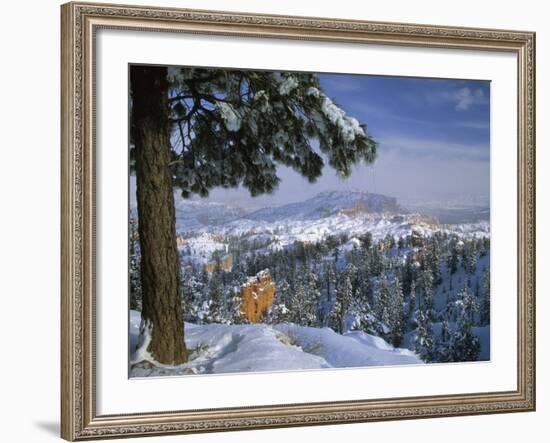 Bryce Canyon in Winter, Utah, USA-Nancy Rotenberg-Framed Photographic Print