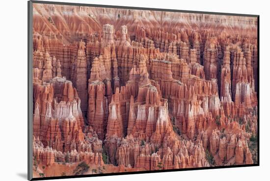 Bryce Canyon National Park Utah, United States of America, North America-Michael DeFreitas-Mounted Photographic Print