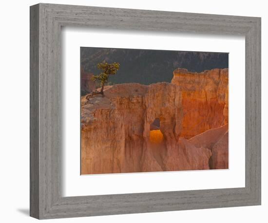 Bryce Canyon National Park, Utah, USA-Cathy & Gordon Illg-Framed Photographic Print