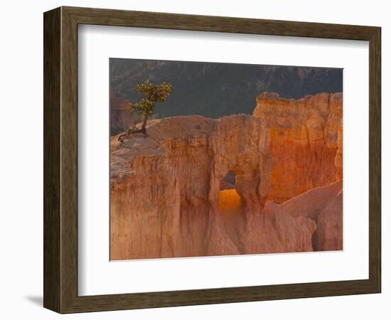 Bryce Canyon National Park, Utah, USA-Cathy & Gordon Illg-Framed Photographic Print