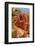 Bryce Canyon National Park Utah-Michael DeFreitas-Framed Photographic Print