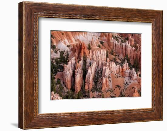 Bryce Canyon National Park, Utah-Michael DeFreitas-Framed Photographic Print