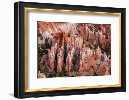 Bryce Canyon National Park, Utah-Michael DeFreitas-Framed Photographic Print