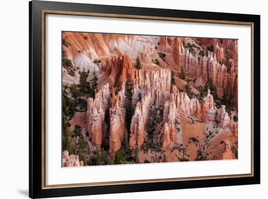 Bryce Canyon National Park, Utah-Michael DeFreitas-Framed Photographic Print