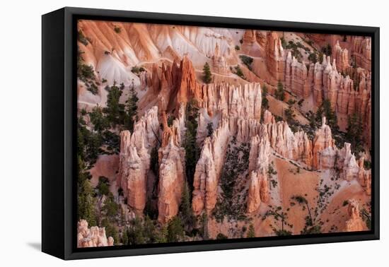 Bryce Canyon National Park, Utah-Michael DeFreitas-Framed Premier Image Canvas