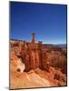 Bryce Canyon National Park-null-Mounted Photographic Print