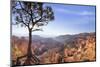 Bryce Canyon National Park-Jon Hicks-Mounted Photographic Print