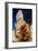 Bryce Canyon-Gordon Semmens-Framed Photographic Print