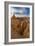 Bryce National Park, Utah: Queen's Garden-Ian Shive-Framed Photographic Print