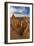 Bryce National Park, Utah: Queen's Garden-Ian Shive-Framed Photographic Print