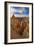 Bryce National Park, Utah: Queen's Garden-Ian Shive-Framed Photographic Print