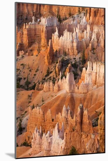 Bryce National Park, Utah-Ian Shive-Mounted Photographic Print