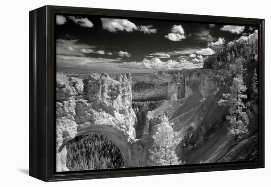 Bryce-J.D. Mcfarlan-Framed Premier Image Canvas