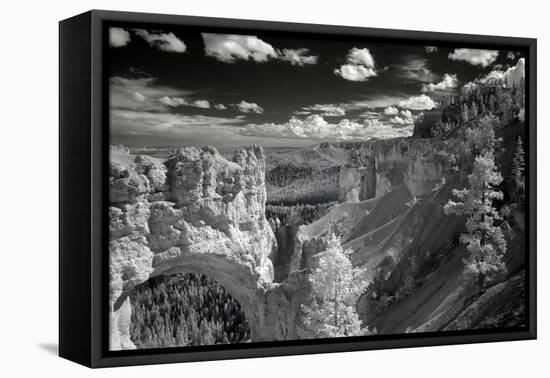 Bryce-J.D. Mcfarlan-Framed Premier Image Canvas