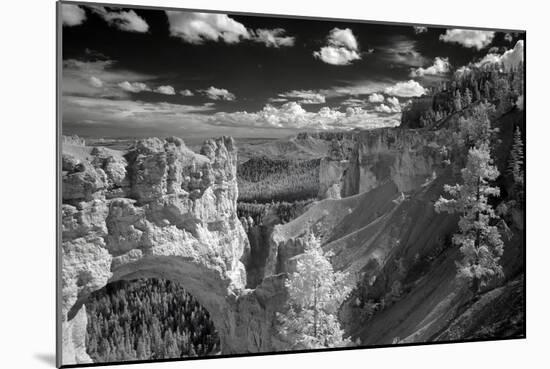 Bryce-J.D. Mcfarlan-Mounted Photographic Print