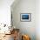 Bryde's Whale (Balaenoptera Edeni) and Common Dolphins (Delphinus Delphis)-Jordi Chias-Framed Photographic Print displayed on a wall